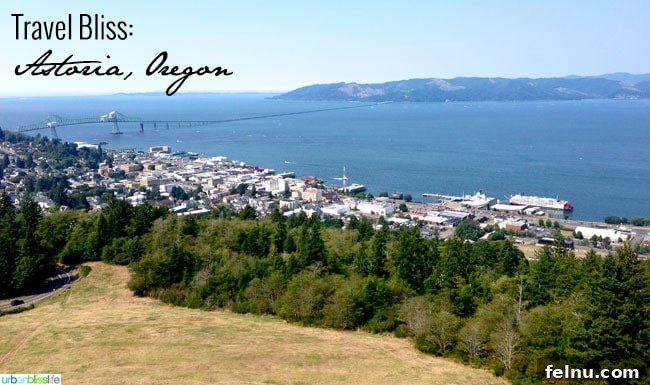 Astoria Uncovered: Exploring Oregon's Historic River Mouth 15 Another scenic view from Astoria Column