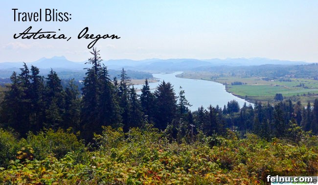 Astoria Uncovered: Exploring Oregon's Historic River Mouth 16 Panoramic view of Astoria's surrounding landscape