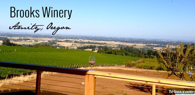 Brooks Estate Wine Tastings 6 Brooks Winery view