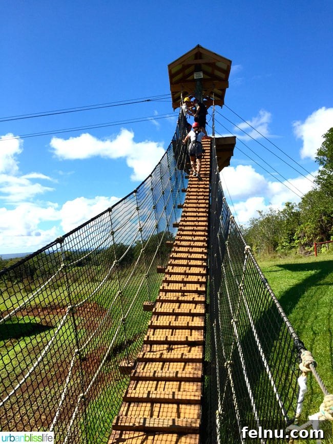The Big Island of Hawaii: An Explorer's Guide 11 Rocky footbridge leading to a zipline platform
