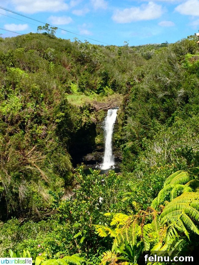 The Big Island of Hawaii: An Explorer's Guide 12 Ziplining over a Hawaiian waterfall