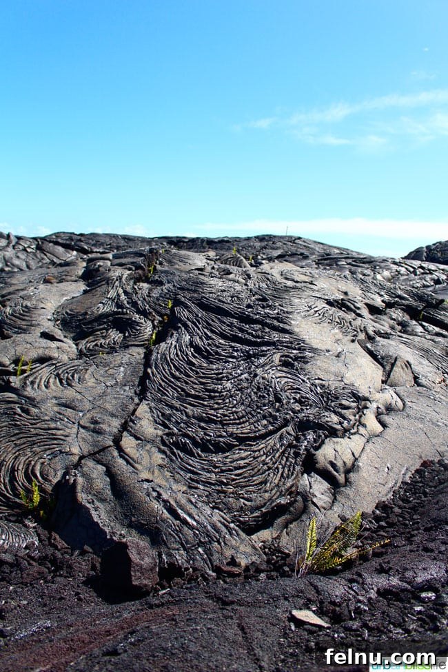 The Big Island of Hawaii: An Explorer's Guide 15 Dramatic black sand beach formed by volcanic activity in Hawaii