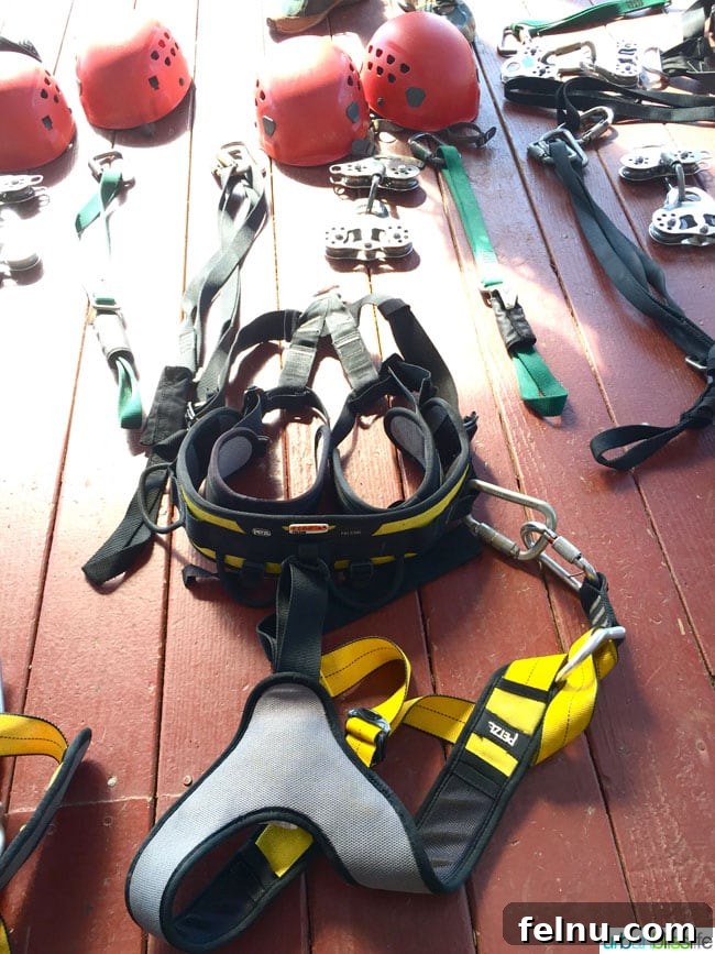 The Big Island of Hawaii: An Explorer's Guide 9 Ziplining equipment and harnesses ready for adventure