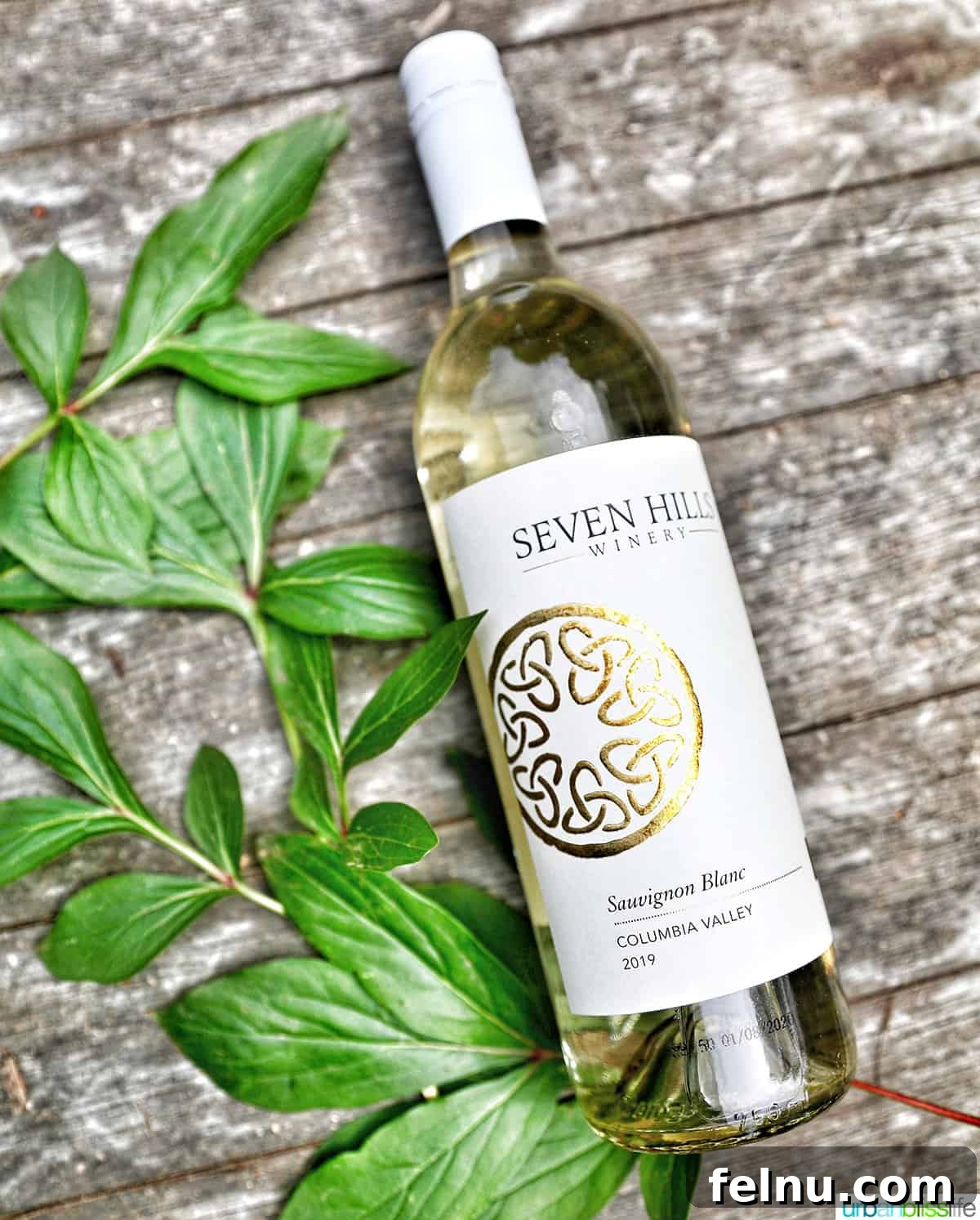 Celebrate with the Perfect New Year's Eve Wines 8 bottle of Sauvignon Blanc white wine on a wood table with side green branches.