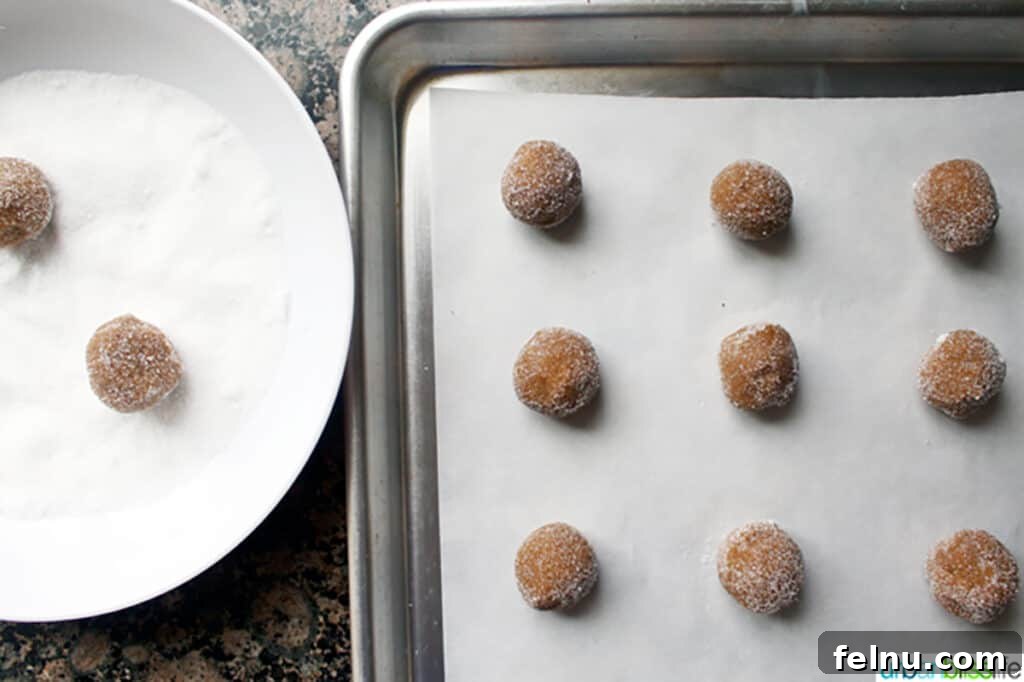 Chewy Ginger Molasses Cookies Gingersnap Delights: Soft & Chewy Molasses Cookies 12 Dough balls for ginger molasses cookies before baking