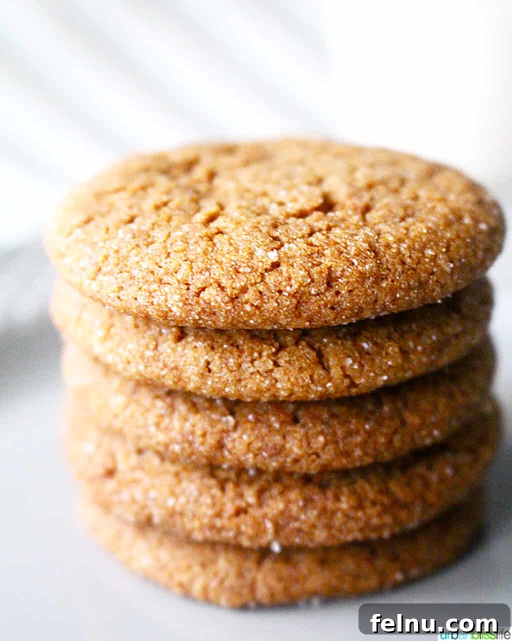 Chewy Ginger Molasses Cookies Gingersnap Delights: Soft & Chewy Molasses Cookies 4 A stack of molasses cookies showing their texture