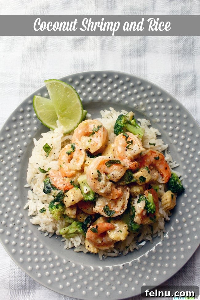 Coconutty Shrimp Rice Delight 4 Coconut Shrimp Rice Cooking Process