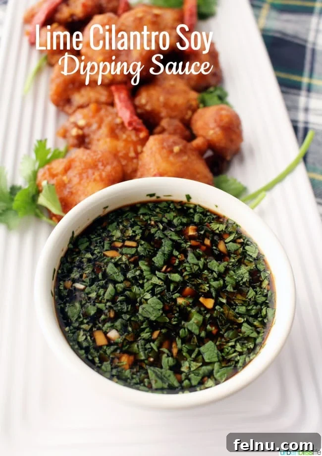 Game Day Wings: Sauce Up Your Victory 5 Lime Cilantro Soy Dipping Sauce
