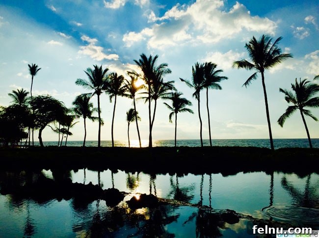 Big Island Adventures: Exploring Hawaii's Diverse Activities 2 Sunset over palm trees on the beautiful Big Island of Hawaii