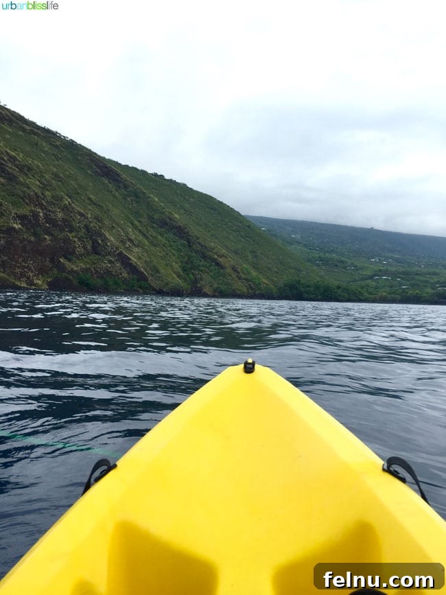 Big Island Adventures: Exploring Hawaii's Diverse Activities 3 Kayaking in the pristine waters of the Big Island