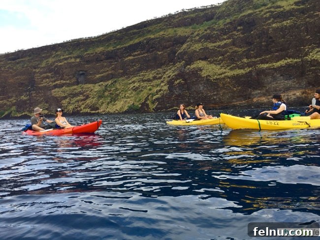 Big Island Adventures: Exploring Hawaii's Diverse Activities 4 Group kayaking adventure on the Big Island