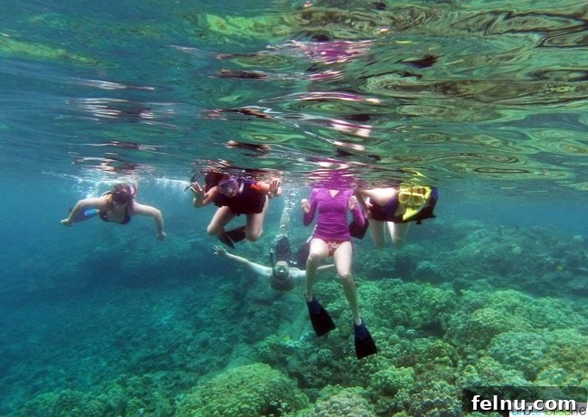 Big Island Adventures: Exploring Hawaii's Diverse Activities 7 Attempting a group photo underwater while snorkeling