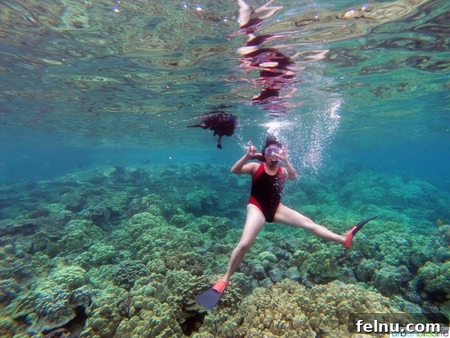 Big Island Adventures: Exploring Hawaii's Diverse Activities 8 Underwater selfie during a snorkeling trip in Hawaii