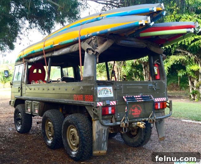 Big Island Adventures: Exploring Hawaii's Diverse Activities 10 Vehicle used for Kohala Ditch Adventures