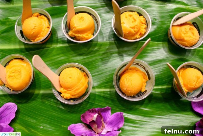 Aloha Flavors 2 Taste of the Hawaiian Range 2014 | UrbanBlissLife.com