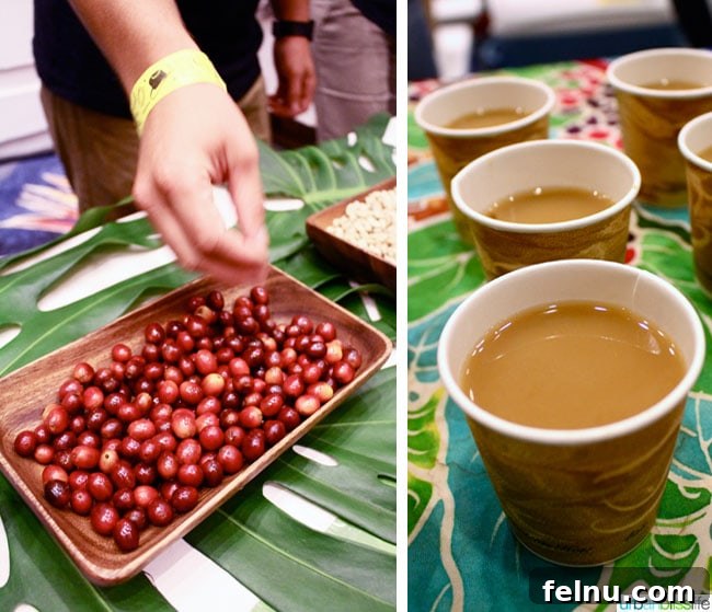 Aloha Flavors 9 Taste of the Hawaiian Range 2014 | UrbanBlissLife.com