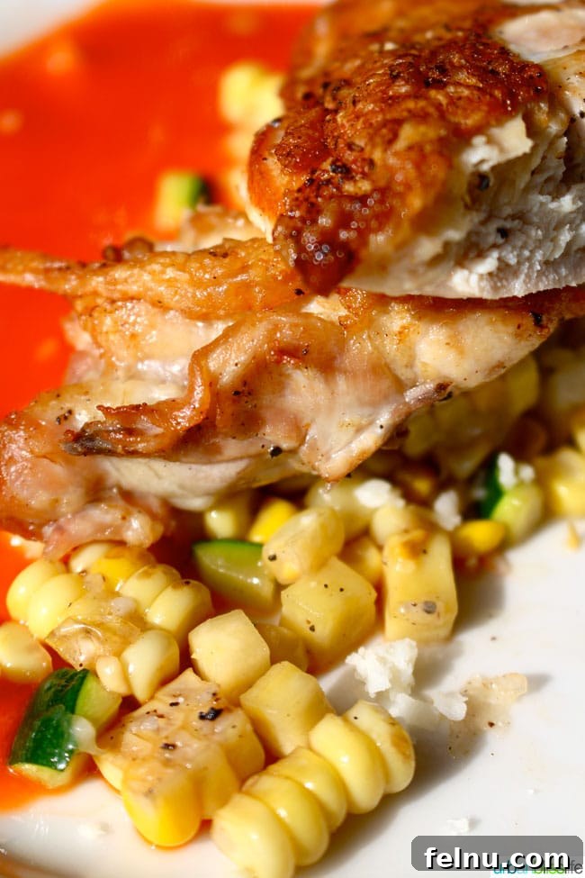 Pan-Roasted Chicken at Ecliptic Brewing, Portland