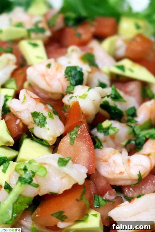 Zesty Tequila Lime Shrimp Ceviche 3 Ceviche Style Tequila Lime Shrimp