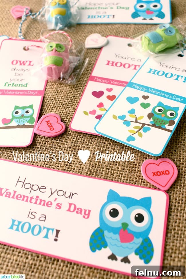 Valentines Day Owl Bookmark Printables