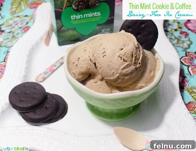 Dairy-Free Thin Mint Coffee Ice Cream Dream 3 Dairy Free Coffee Ice Cream with Thin Mint Cookies