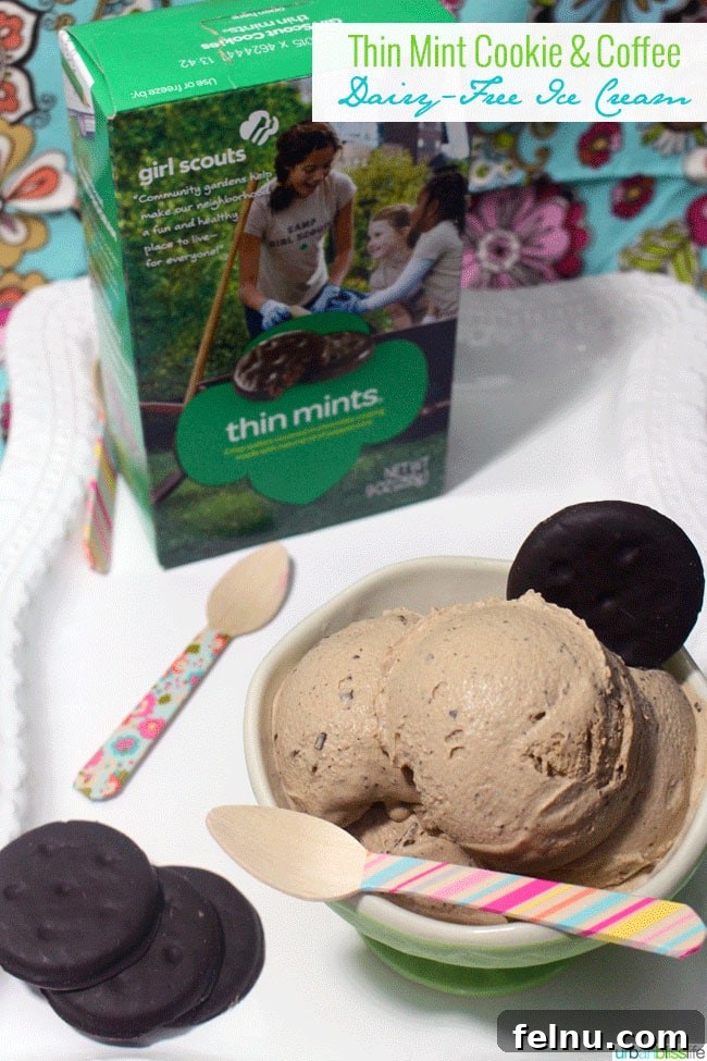 Dairy-Free Thin Mint Coffee Ice Cream Dream 4 Thin Mint Cookie Coffee Dairy Free Ice Cream ©UrbanBliss