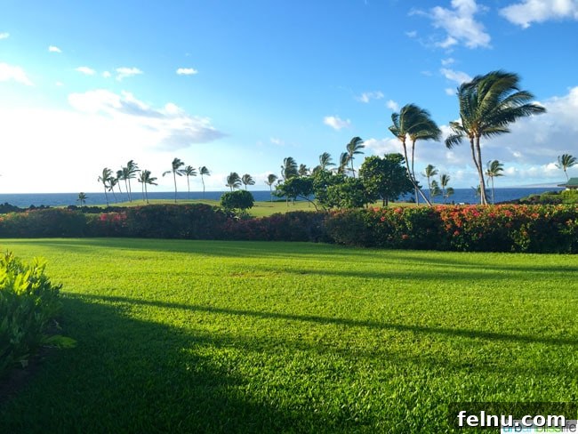 Mauna Lani, Big Island: Your Guide to Paradise Found 19 Mauna Lani Beach Hawaii