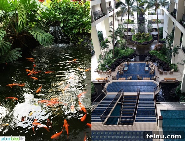 Mauna Lani, Big Island: Your Guide to Paradise Found 6 Mauna Lani Resort Pools Hawaii