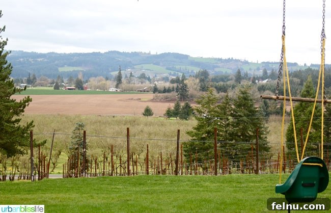 Blizzard Wines Oregon Vineyard