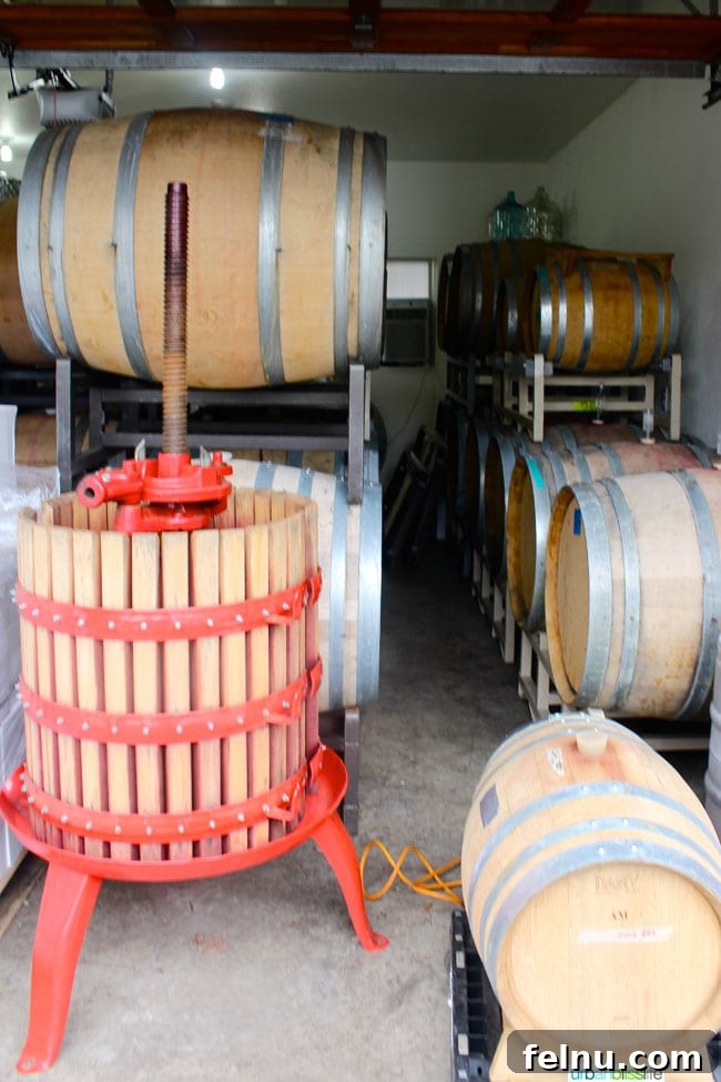 Blizzard Wines Barrels