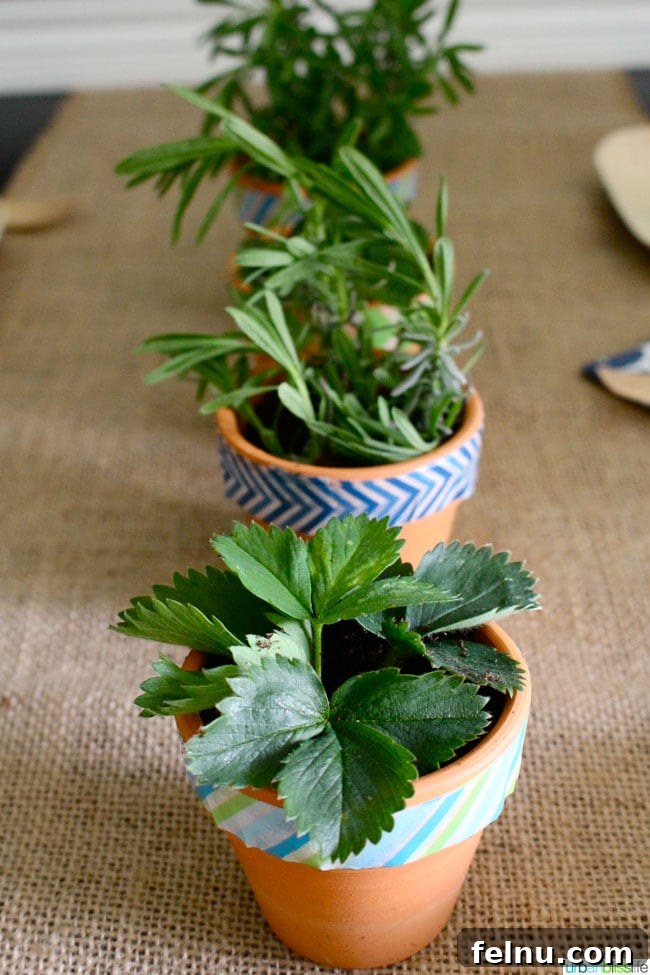 Host Your Own Eco Friendly Earth Day Party DIYs and Printables 4 Earth Day Party Centerpiece