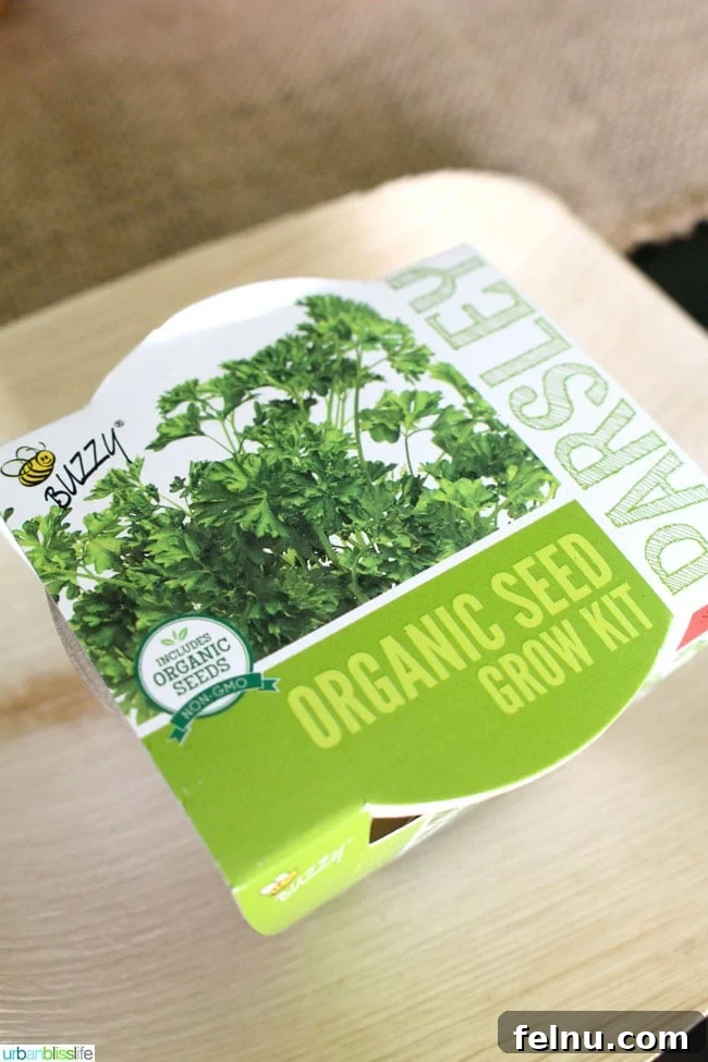 Host Your Own Eco Friendly Earth Day Party DIYs and Printables 5 Earth Day Party Favors - Herb Seeds Kit