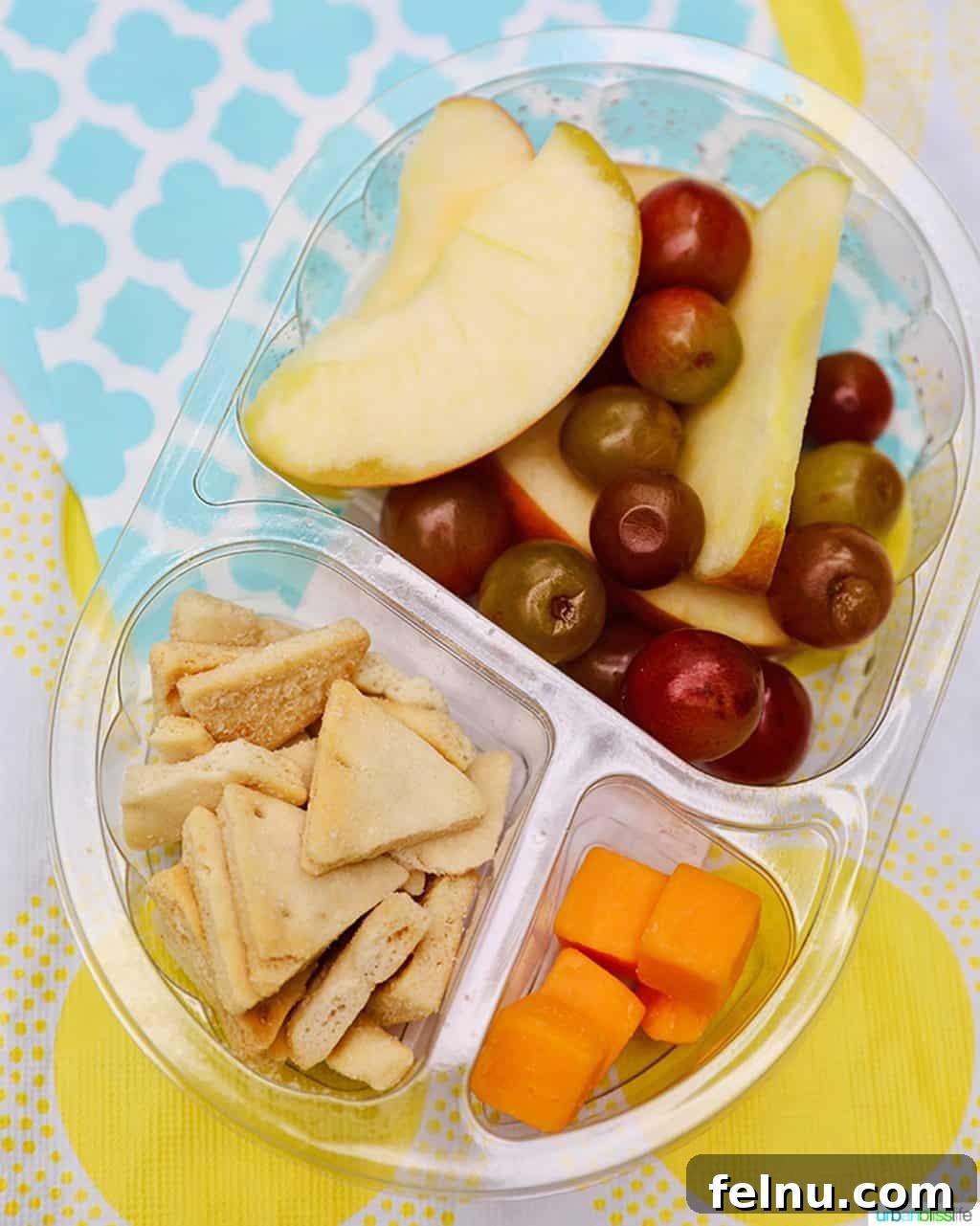 Healthy snack pack with fruit and cheese for kids