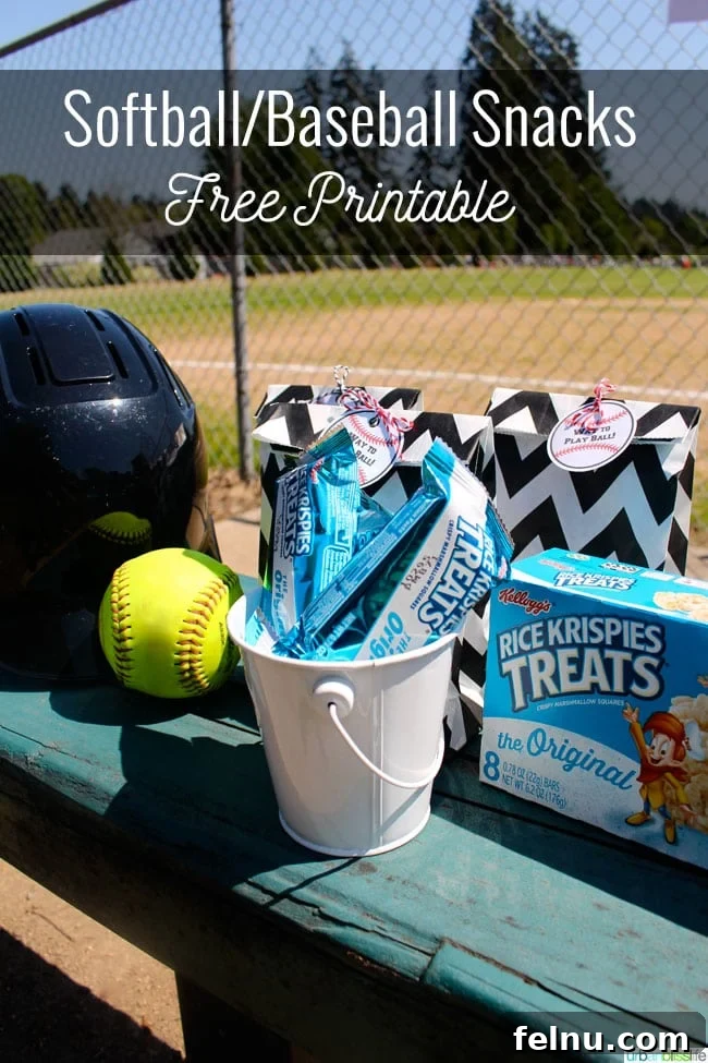 Sports snacks in individual bags with printable tags