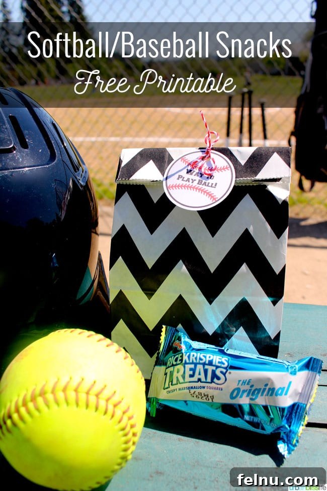 Free printable snack tags for baseball and softball teams
