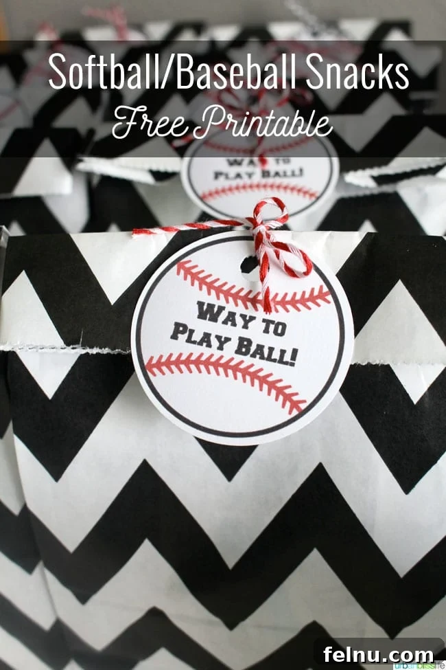 Baseball and softball themed snack bag tags to download