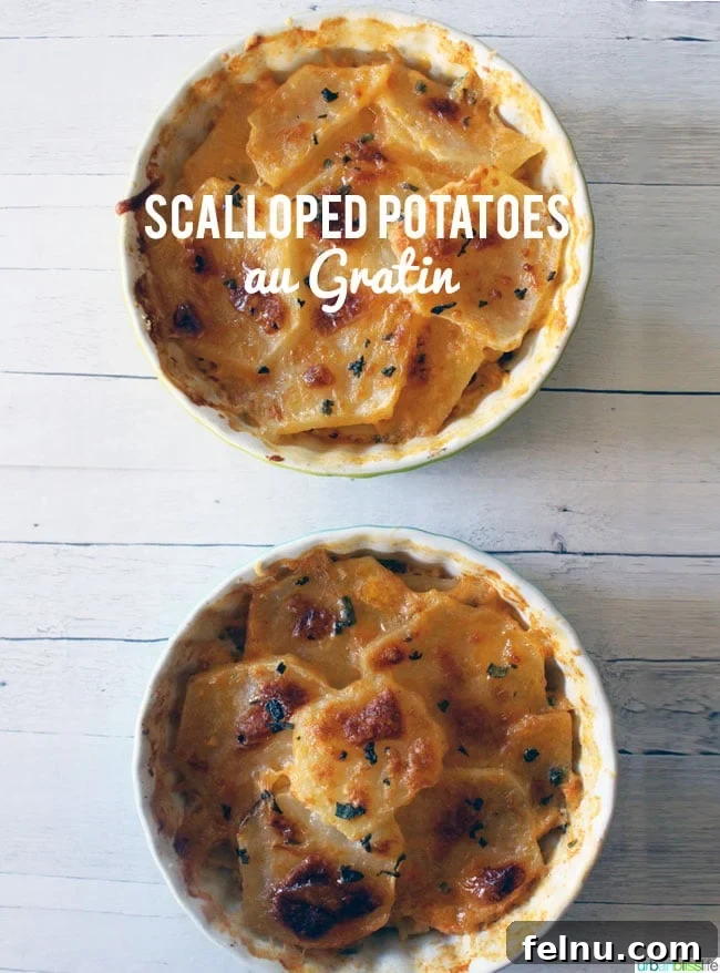 Scalloped Potatoes Au Gratin recipe
