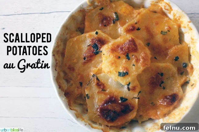 Delicious Scalloped Potatoes Au Gratin