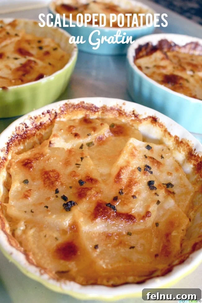 Individual Servings of Scalloped Potatoes Au Gratin