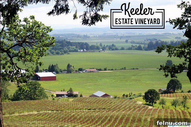 Sip, Savor, & Celebrate: Your 5-Stop Oregon Wine Country Girls' Weekend 10 Oregon wine country: Keeler Estate Vineyards with vineyard rows and beautiful landscape