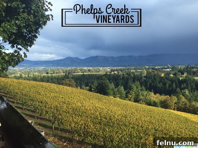 Sip, Savor, & Celebrate: Your 5-Stop Oregon Wine Country Girls' Weekend 3 Oregon wine country: Phelps Creek Vineyards with stunning landscape