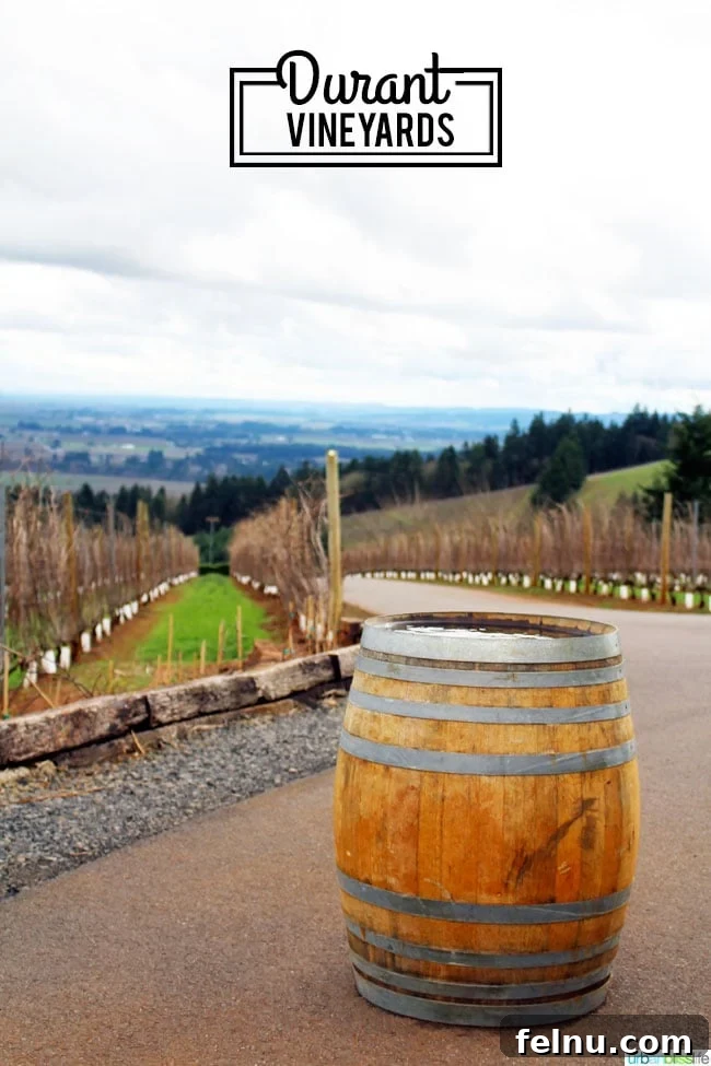 Sip, Savor, & Celebrate: Your 5-Stop Oregon Wine Country Girls' Weekend 7 Oregon wine country: Durant Vineyards barrel room, showcasing rows of wine barrels