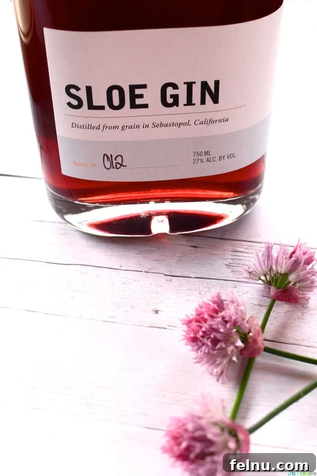 Sloe Gin Fizz The Perfect Monday Mix 4 Bottle of SpiritWorks Distillery Sloe Gin