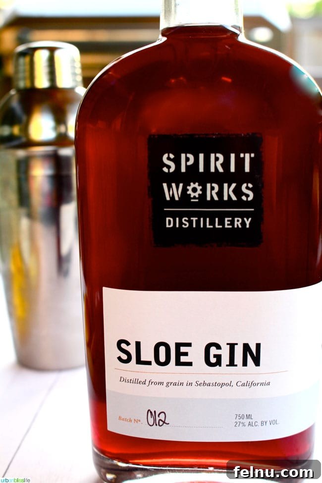 Sloe Gin Fizz The Perfect Monday Mix 6 Bottle of SpiritWorks Distillery Sloe Gin with sloe berries