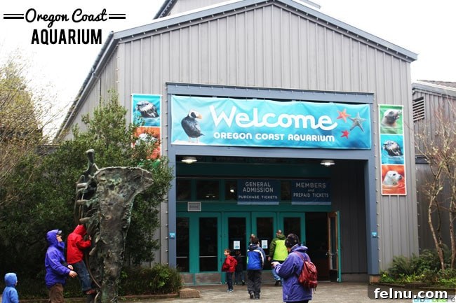 Oregon Coast Marine Life Odyssey 2 Oregon Coast Aquarium Entrance, Newport Oregon