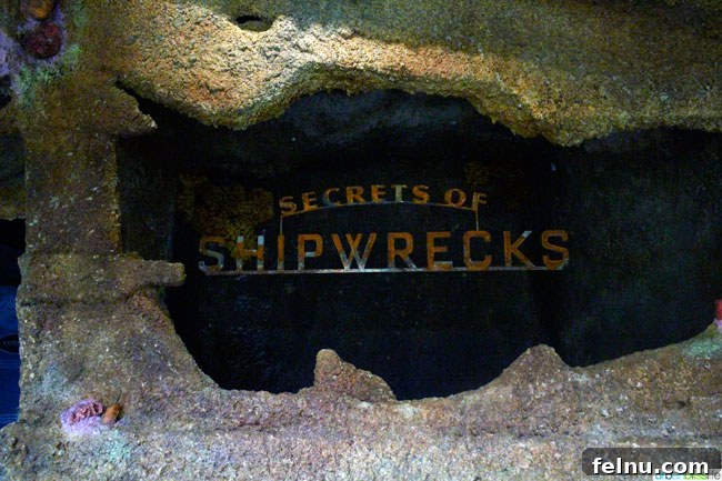 Oregon Coast Marine Life Odyssey 9 Oregon Coast Aquarium Shipwrecks Exhibit, Newport Oregon