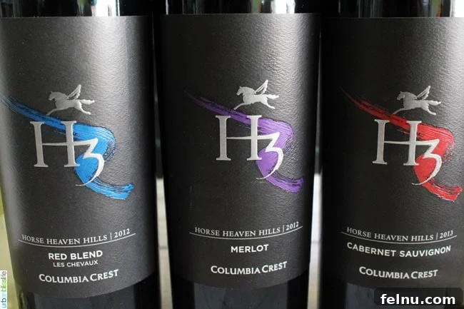 H3 Wines: Summer BBQ Pairings 5 A selection of H3 Red Wines showcasing their rich colors and enticing aromas.