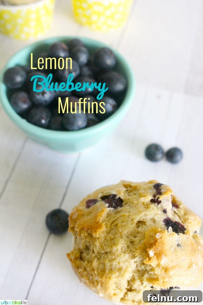 Lemon-Kissed Blueberry Muffins (Dairy-Free) 3 Lemon Blueberry Muffins
