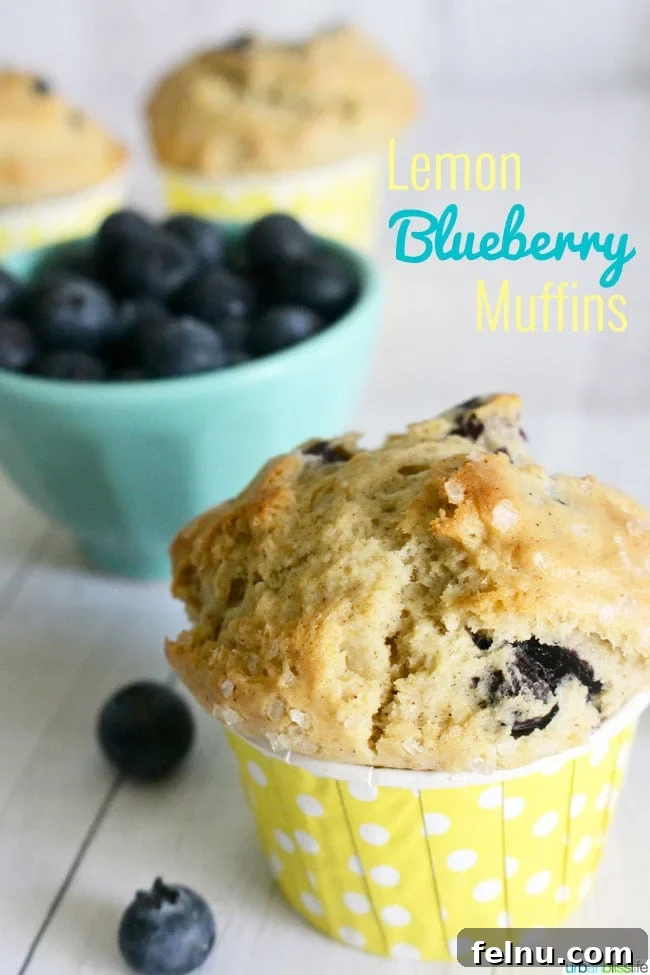 Lemon-Kissed Blueberry Muffins (Dairy-Free) 4 Lemon Blueberry Muffins recipe on UrbanBlissLife.com