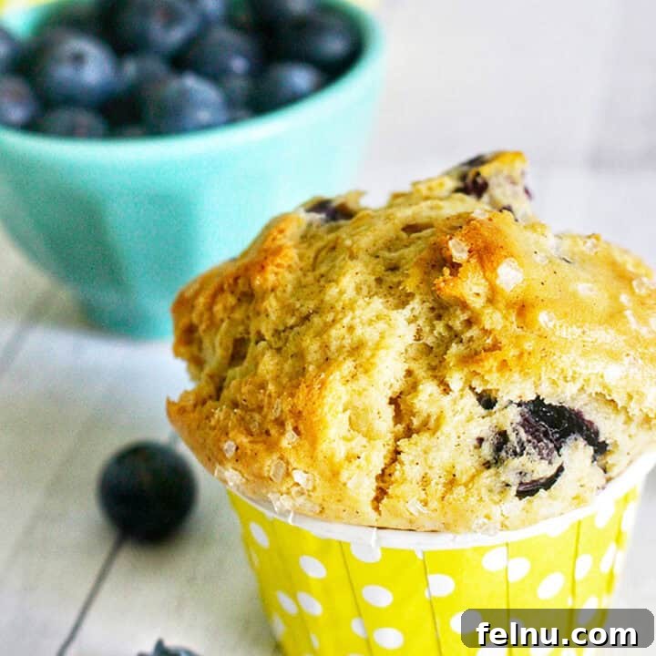 dairy free lemon blueberry muffins FEATURE photo.