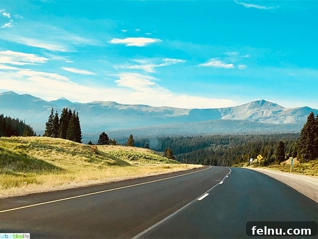 Essential Road Trip Tips Plus Your Free Planner 2 Scenic highway winding through the majestic Colorado mountains, perfect for a family road trip adventure.
